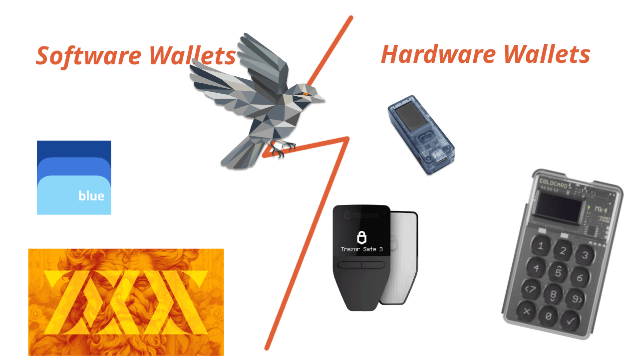 Infographic comparing software wallets and hardware wallets for Bitcoin self-custody: left side shows app icons and a bird symbolizing convenience; right side depicts secure devices like Coldcard and Trezor for offline protection.